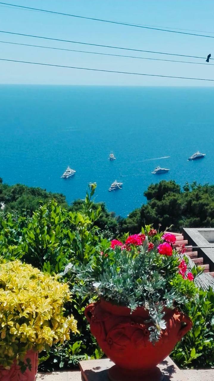 Capri Sea View Villa Extérieur photo