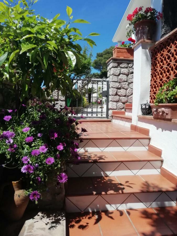 Capri Sea View Villa Extérieur photo